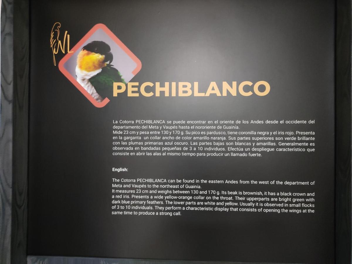 Hotel Nido de Loros Medellín Esterno foto